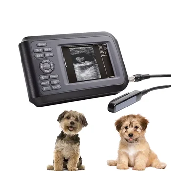 šunys, nėščios ultragarso skenerį geriamojo ultragarso veterinarijos